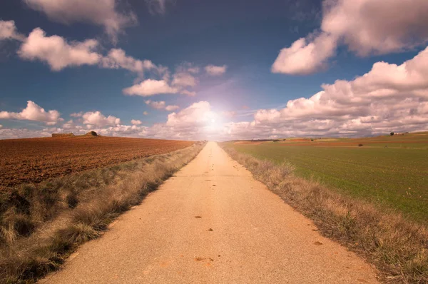 yeşil ve kahverengi