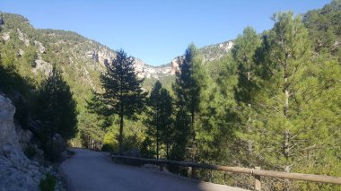 Guadalajara yüksek Tajo doğal park