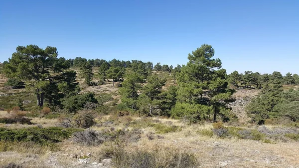Guadalajara yüksek Tajo doğal park