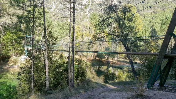 I Tajos naturlige park i Guadalajara. – stockfoto