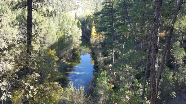 Guadalajara yüksek Tajo doğal park