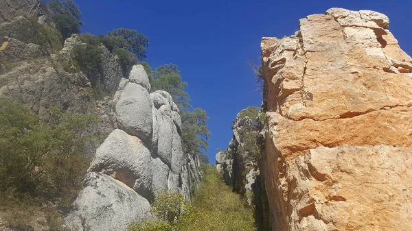Guadalajara yüksek Tajo doğal park