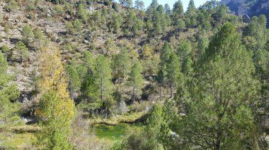 Guadalajara yüksek Tajo doğal park