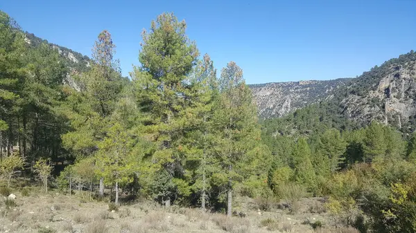 Guadalajara yüksek Tajo doğal park
