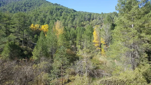 Guadalajara yüksek Tajo doğal park