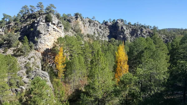 Guadalajara yüksek Tajo doğal park