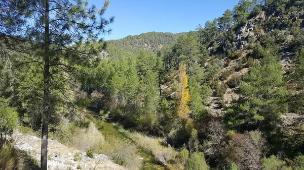 Guadalajara yüksek Tajo doğal park