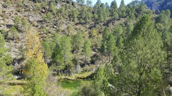 Guadalajara yüksek Tajo doğal park