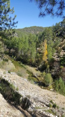 Guadalajara yüksek Tajo doğal park
