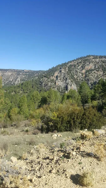 En el parque natural del alto Tajo en Guadalajara — Foto de Stock