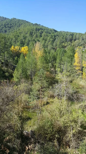 Nel parco naturale dell'alto Tajo a Guadalajara — Foto Stock