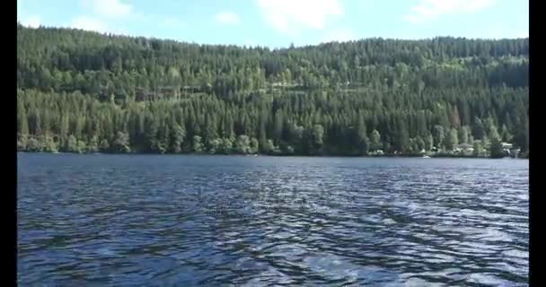 Na jezioro Titisee w czarnym lesie — Wideo stockowe