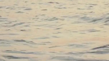 Oropesa del Mar renega