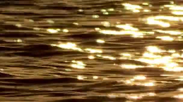 La renega en Oropesa del Mar — Vídeo de stock