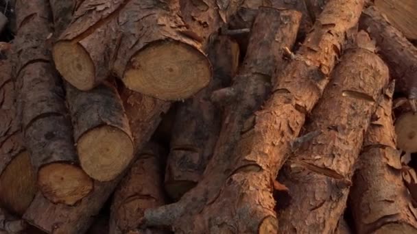 Kilka dzienników drewna opałowego — Wideo stockowe