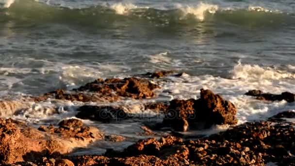 La renega en Oropesa del Mar, Castellón — Vídeo de stock