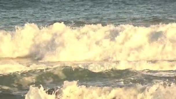 La renega en Oropesa del Mar, Castellón — Vídeo de stock