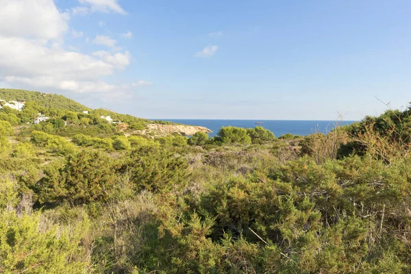 Cape Martinet Auf Der Insel Ibiza Baleares Spanien — Stockfoto