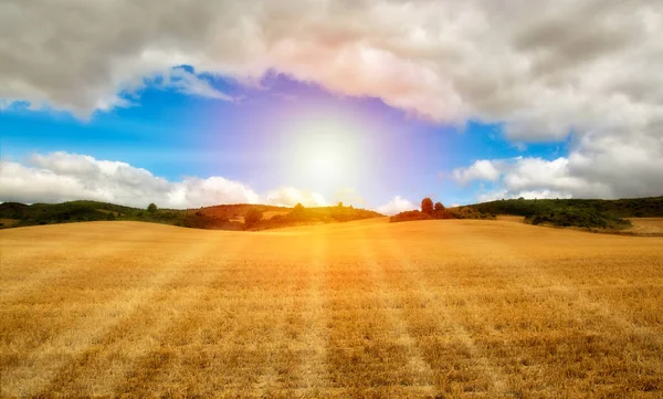 The road to Santiago as it passes through Navarr — Stock Photo, Image