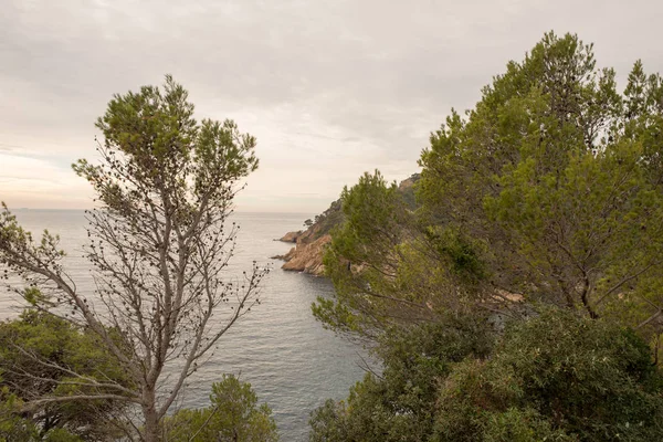 Die costa brava in der provinz girona, katalonien — Stockfoto