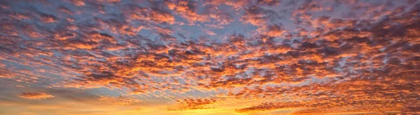 Tło z czerwonej chmury o zachodzie słońca — Zdjęcie stockowe