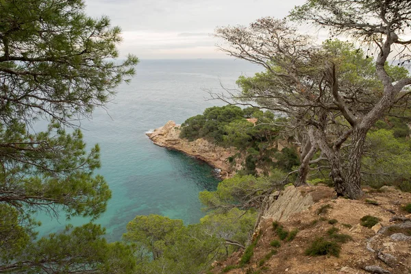 A costa selvagem na província de Girona — Fotografia de Stock