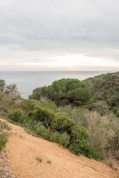 Дике узбережжя в провінції Girona — стокове фото