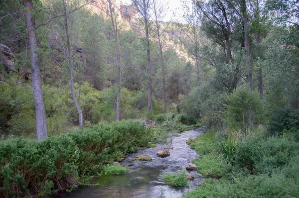 Le parc naturel du haut tajo à Guadalajara — Photo