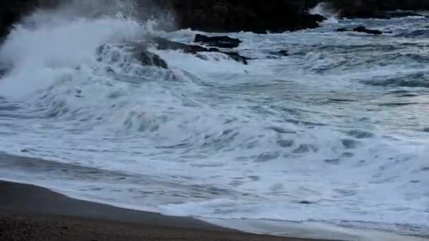 海岸に沿ってうねりの海の波 — ストック動画