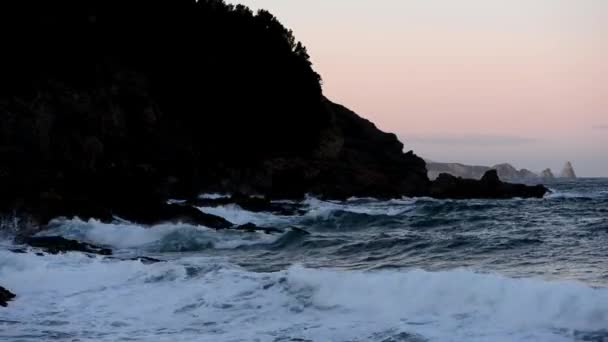 Vågor Havet Dyning Längs Kusten — Stockvideo