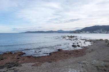 Orman, costa brava, Girona limanda