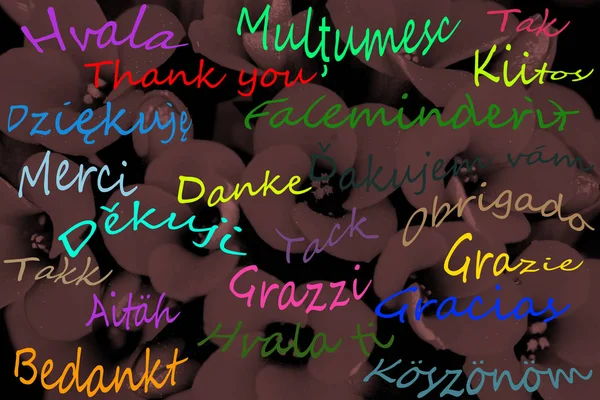 Das Wort danke in mehreren Sprachen — Stockfoto