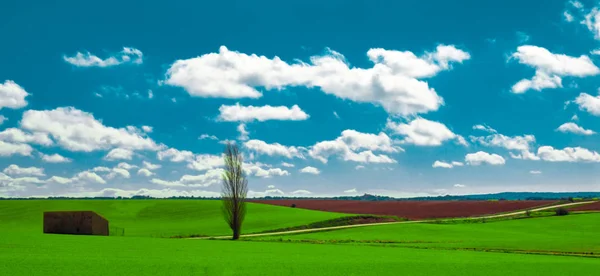 Zielony krajobraz w prowincji Soria — Zdjęcie stockowe
