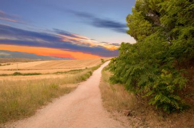 Günbatımı Navarra Santiago giden yolda