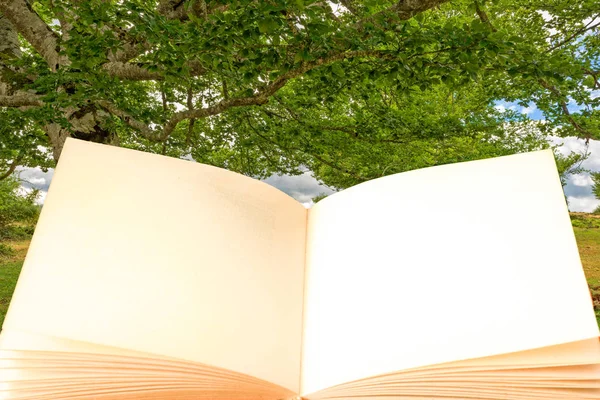 Open boek met een boom in de achtergrond — Stockfoto