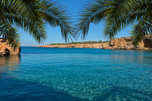 An Ibiza cove with a frame of palm leaves — Stock Photo, Image
