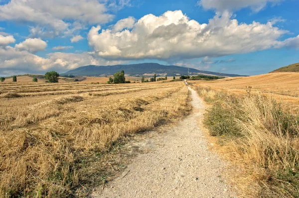 Navarre Saint James şekilde mavi gökyüzü altında