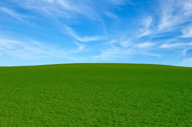 Bahar mavi gökyüzü altında yeşil bir tepede