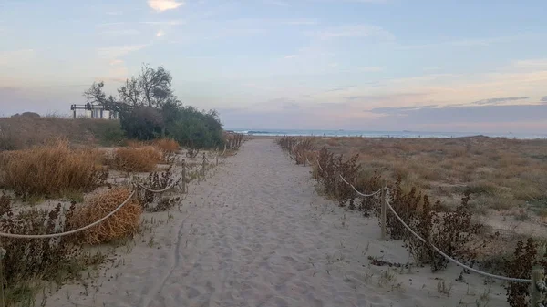 Um pôr-do-sol dourado no mar azul — Fotografia de Stock