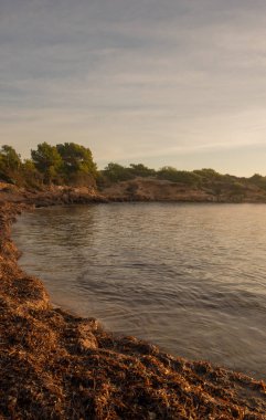 Ibiza gündoğumu, Balear Adaları, Sespanyol Beach