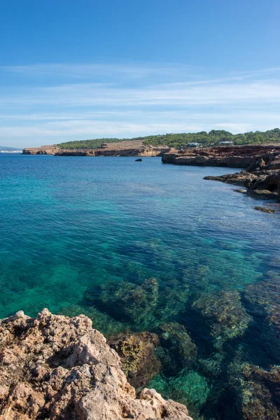 Ibiza Adası, Balear Adaları plajda Bassa — Stok fotoğraf