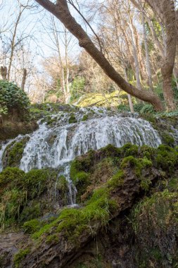 Aragon taş manastırda şelale