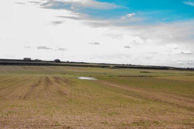 Zaragoza il alanında çöl