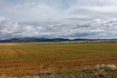 Zaragoza il alanında çöl