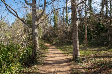 Nuevalos Zaragoza il manastırda taş