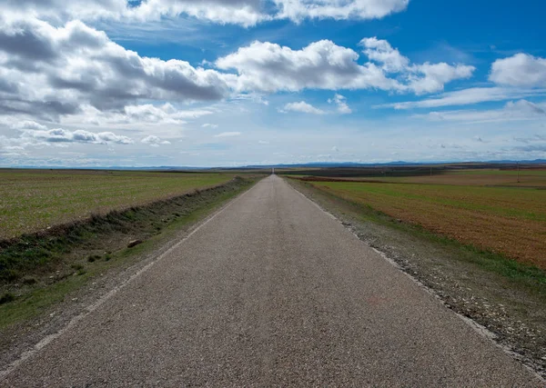 Camino por el campo de la provincia de Zaragoz — Foto de Stock