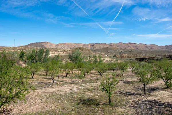 O caminho verde de Lucainena sob o céu azul em Almeria — Fotografia de Stock