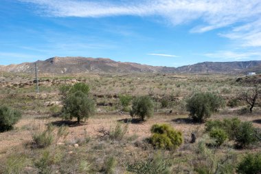 Lucainena yeşil yol Almeria mavi gökyüzü altında