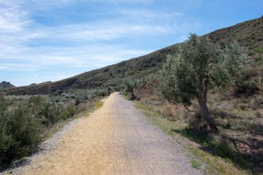 Lucainena yeşil yol Almeria mavi gökyüzü altında