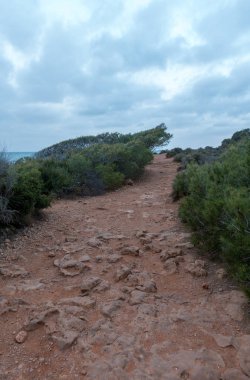 Oropesa del Mar, Castellon renega